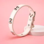 Collar para mascota con diseño hueso blanco